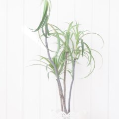 エアリーフロー シャンプー10ml×10