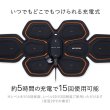 画像8: SIXPAD Abs Belt アブズベルト (8)