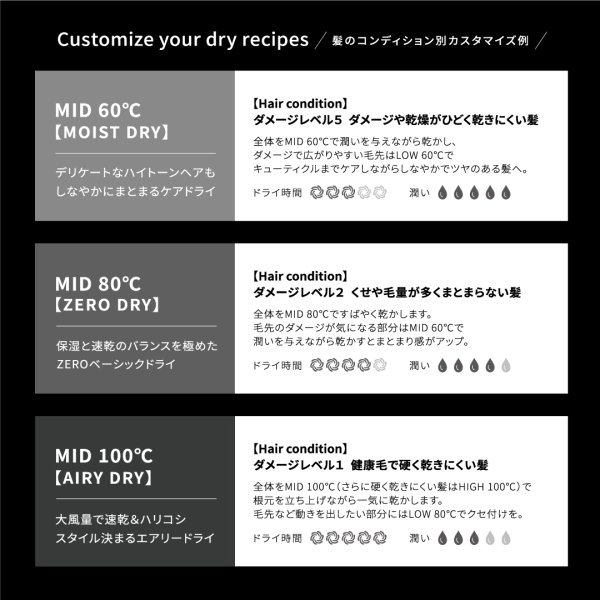 画像8: ホリスティックキュア マグネットヘアプロ ドライヤーゼロ ホワイトプラス (8)