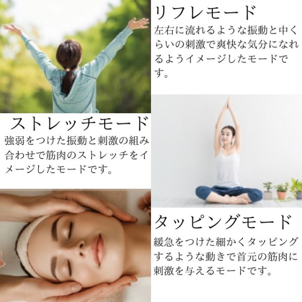 画像14: エビデン スマートネック極 (14)