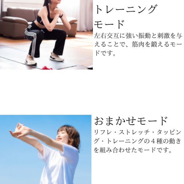 画像15: エビデン スマートネック極 (15)