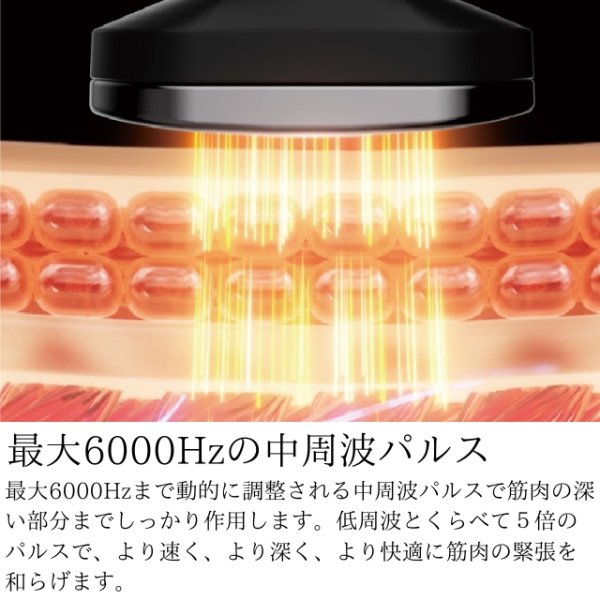 画像6: エビデン スマートネック極 (6)