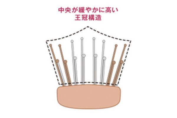 画像6: スカルプブラシ ワールドモデル(ショート) (6)